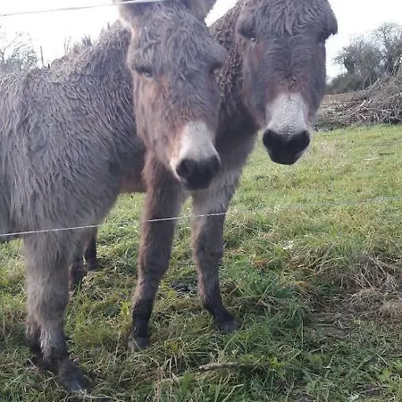 Σπίτι διακοπών Ballygown *